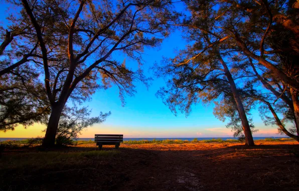 The sun, trees, shore, shop