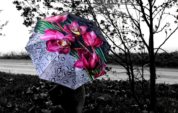 Girl, Rain, Umbrella, Black And White