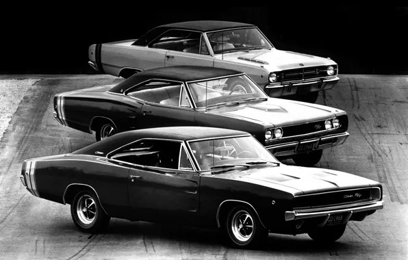 Dodge, mixed, black and white