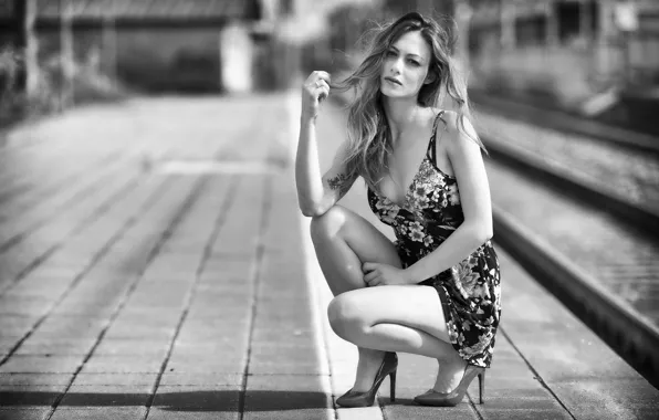 Picture face, pose, background, hair, legs, cutie, Erika