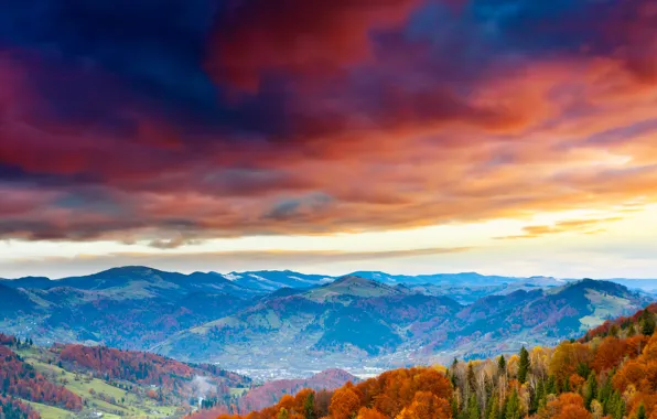 Picture autumn, forest, the sky, trees, mountains, clouds