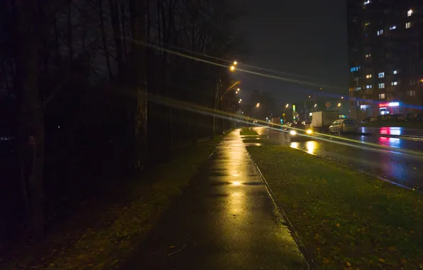 Road, autumn, the sky, trees, machine, night, the city, street