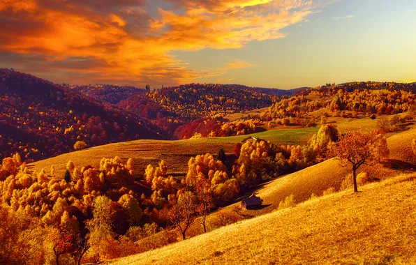 Autumn, forest, the sky, clouds, light, trees, mountains, nature