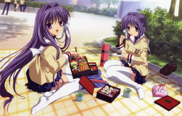 Stockings, plaid, clannad, school uniform, sisters, lunch, thermos, kyou fujibayashi