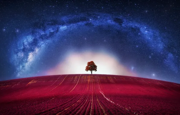 Picture Fantasy, Avatar, Clouds, Loneliness, Horizon, Tree, Galaxy, Lone