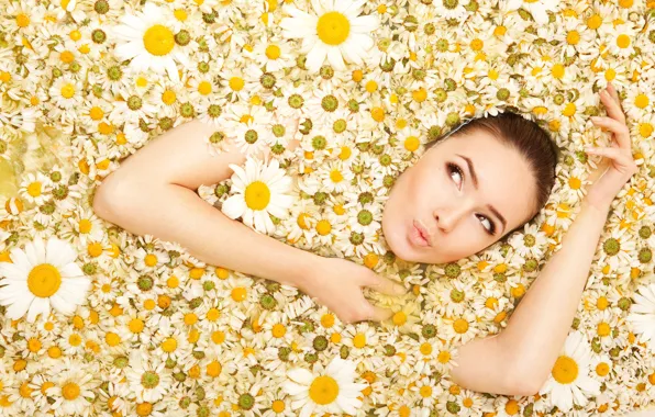 Picture look, girl, flowers, chamomile, camomiles