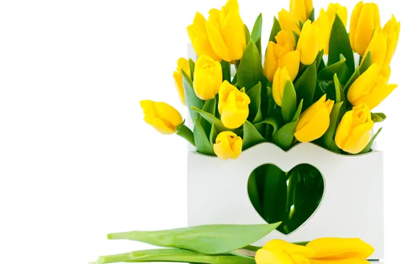 Flowers, bouquet, tulips, yellow tulips