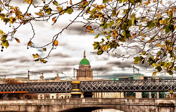 Picture autumn, leaves, branches, bridge, Ireland, Dublin