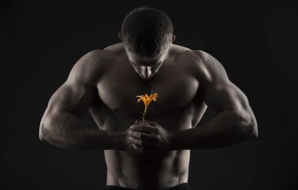 Picture flower, muscle, muscina