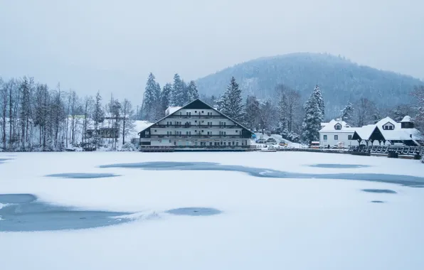 Misty, winter, snow, fog, hill, hotel, frozen, Slovenia