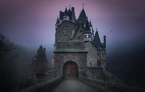 Road, forest, fog, castle, height, architecture, twilight, ELTZ