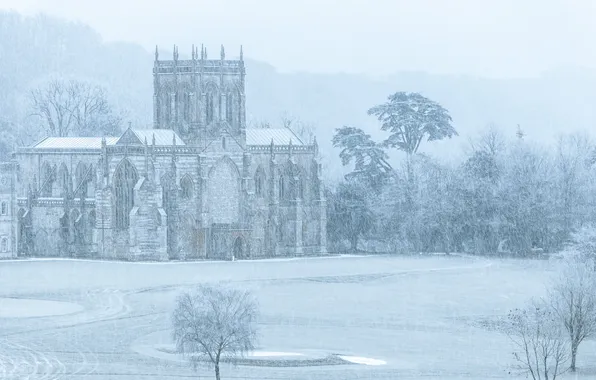 Winter, field, forest, snow, trees, fog, castle, haze