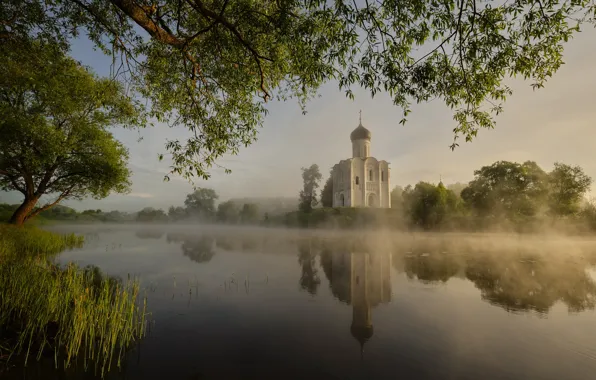 Landscape, nature, fog, lake, shore, morning, Church, Nerl