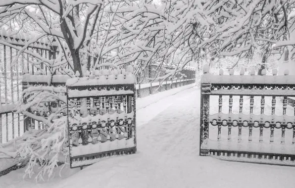 Ice, frozen, door, grate