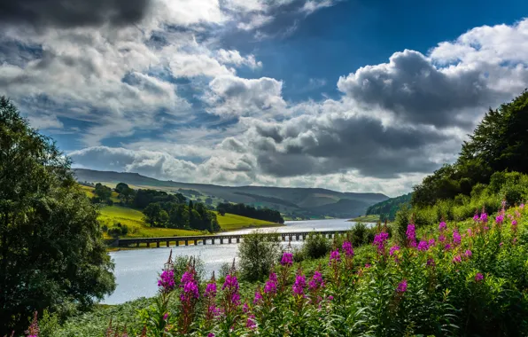 Picture clouds, flowers, bridge, England, valley, England, Derbyshire, Derbyshire