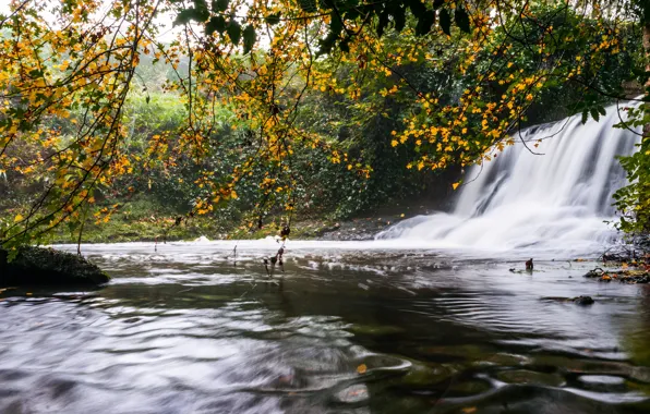 Picture autumn, leaves, branches, nature, foliage, waterfall, pond