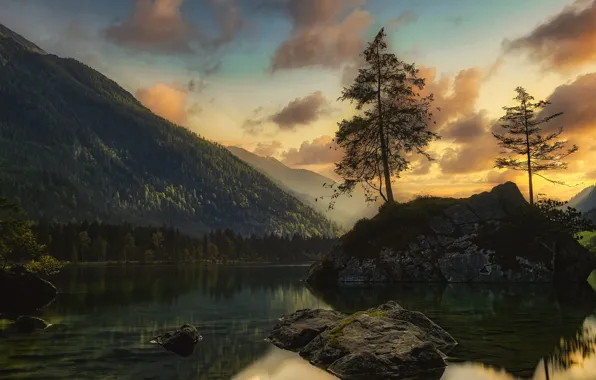 Forest, rocks, shore, Bayern, island, pond