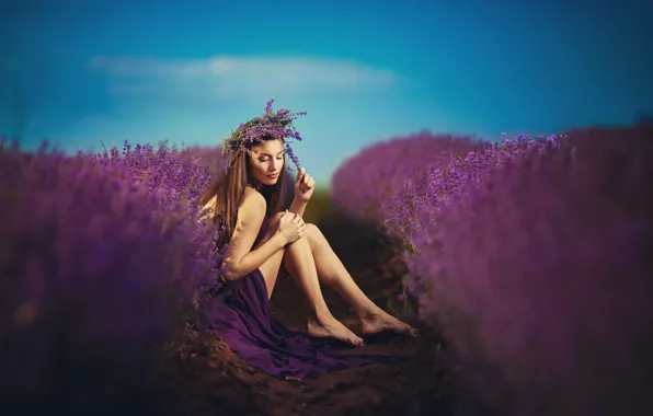 Picture field, dress, legs, wreath, lavender