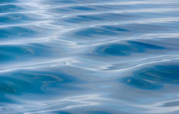 Water, ruffle, the excitement
