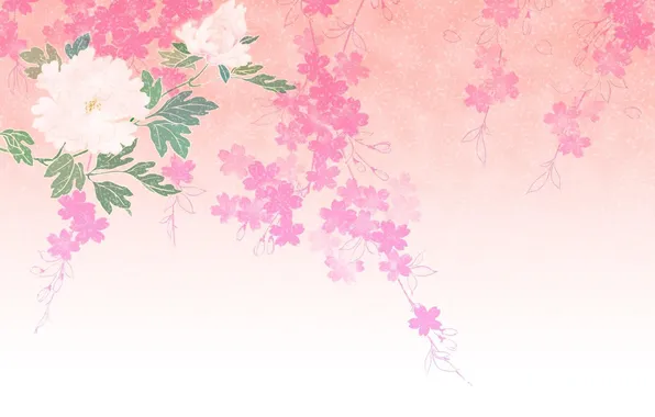 Picture flowers, background, petals