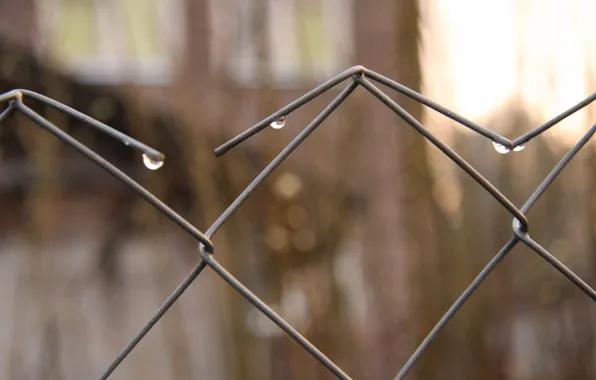 Picture drops, macro, nature, rain, mood, the fence, village, walk