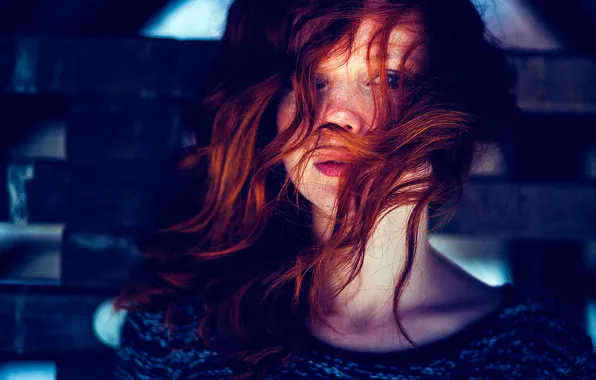 Picture hair, the beauty, redhead