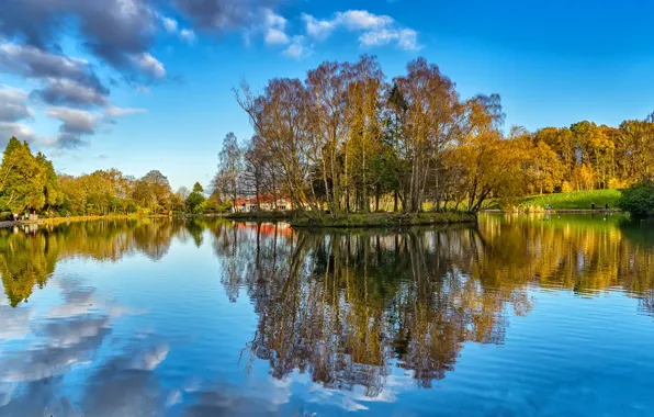 Autumn, the sky, the sun, clouds, trees, yellow, pond, Park