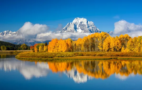 Autumn, mountains, lake, USA, Oxbow Bend Lake