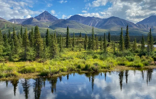 Trees, mountains, lake, reflection, Alaska, Alaska, Denali National Park, Denali national Park