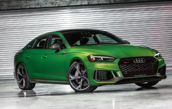 Audi, sedan, RS5, Sportback, RS 5, 2019