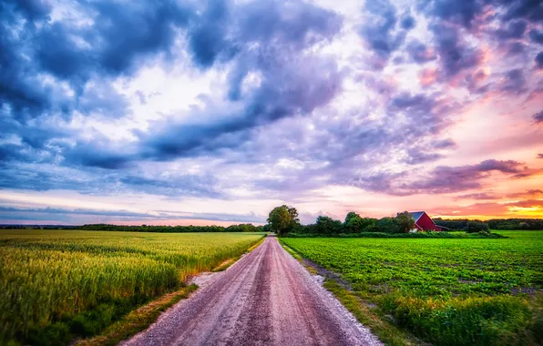 Road, field, clouds, trees, sunset, house, farm
