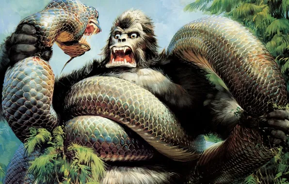 Movie, King Kong, King Kong, film