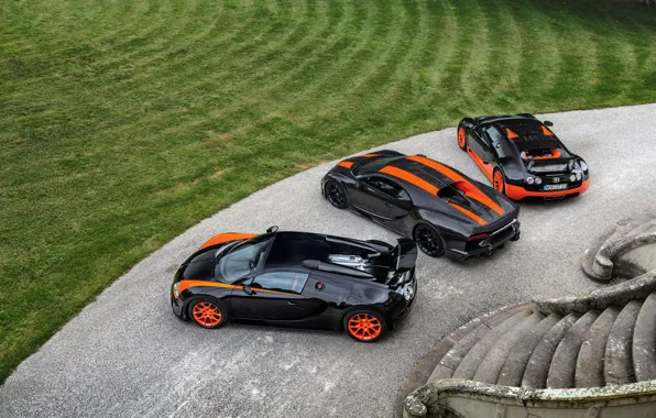 Lawn, Bugatti, ladder, Veyron, 2010, 2013, Chiron, 2019