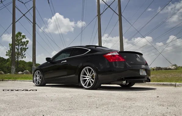 Tree, Honda, Accord, drives, Coupe, Wheels, Concave, CW-S5