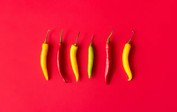 Pepper, red background, Chile