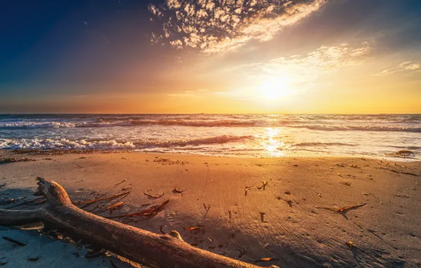 Picture sand, sea, wave, beach, the sun, light, shore, log