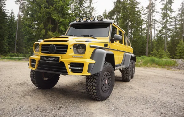 Mercedes-Benz, Mercedes, AMG, Mansory, 6x6, W463, 2015, G 63