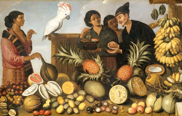 Bird, picture, fruit, genre, Albert Eeckhout, The East India Market