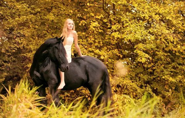 Girl, background, horse