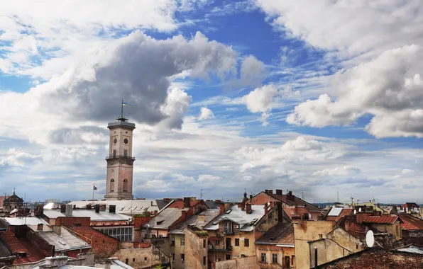 Picture Ukraine, Lions, Lions, Town hall, Lemberg