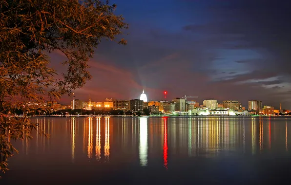 Picture night, lights, lake, tree, home, crane, the dome, Madison