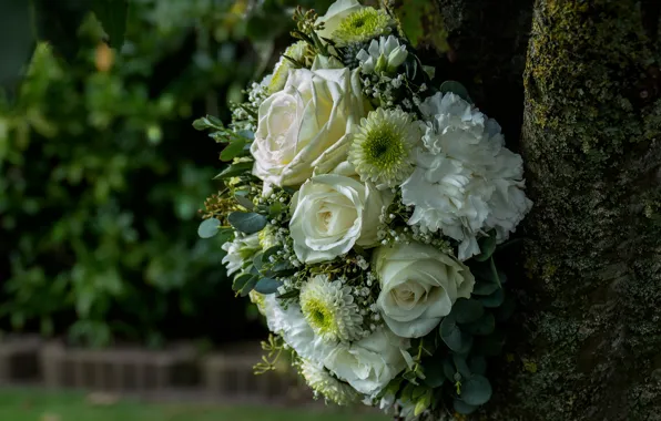 Roses, bouquet, chrysanthemum, clove