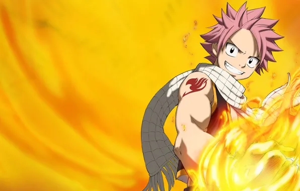 The film, 2009, Fairy Tail, Fairy Tail