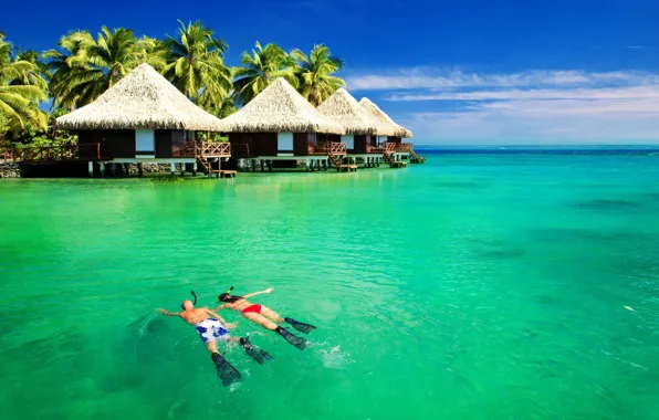 Picture sea, tropics, the ocean, Bora Bora, resort, Bungalow, French Polynesia