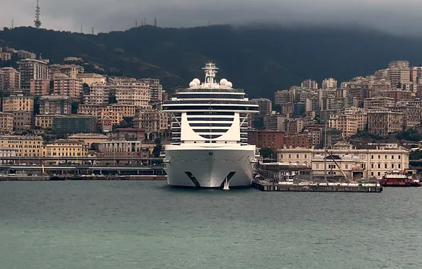 The city, port, liner