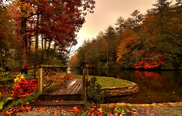 Picture autumn, forest, river, the bridge
