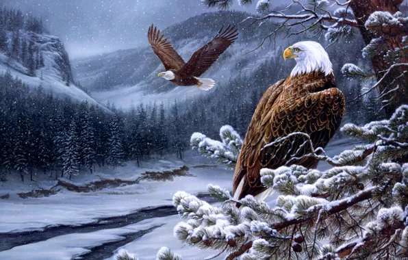 Winter, forest, mountains, eagle, ate, eagle, painting, the eagles