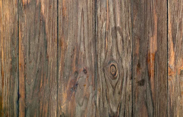 Color, wood, texture