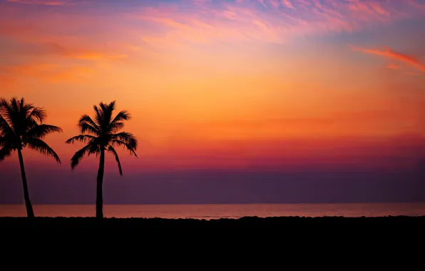 Picture sand, sea, wave, beach, summer, sunset, palm trees, shore