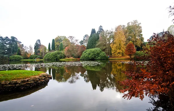 Autumn, trees, pond, Park, UK, Sheffield Park Garden